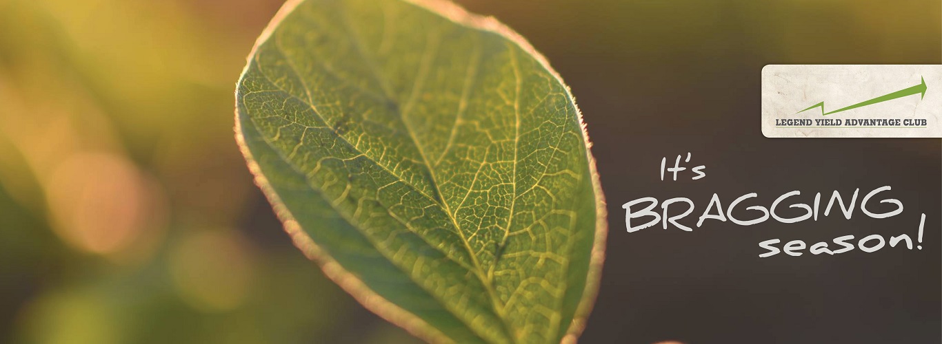 Legend Seeds Your Regional Seed Leader