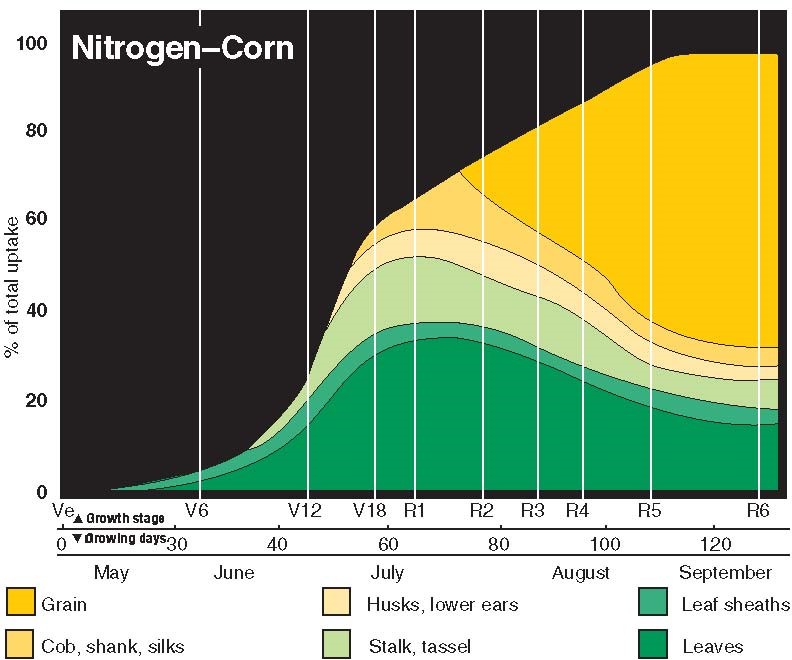 Legend Seeds InSeason Nitrogen Management Tips for Corn