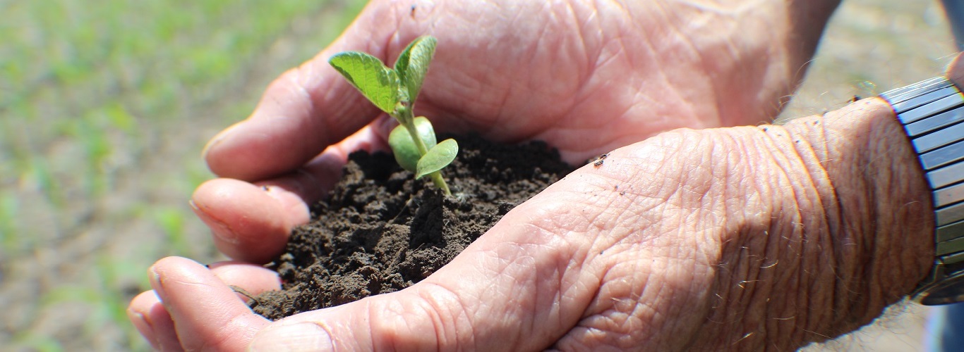 Legend Seeds Your Regional Seed Leader