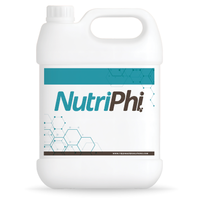 NutriPhi.png