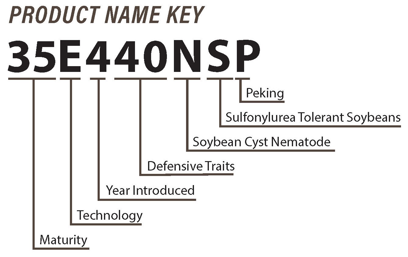 Impact Soybean name key.jpg