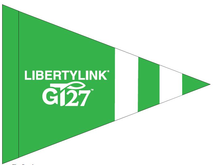 LLGT27 Flag