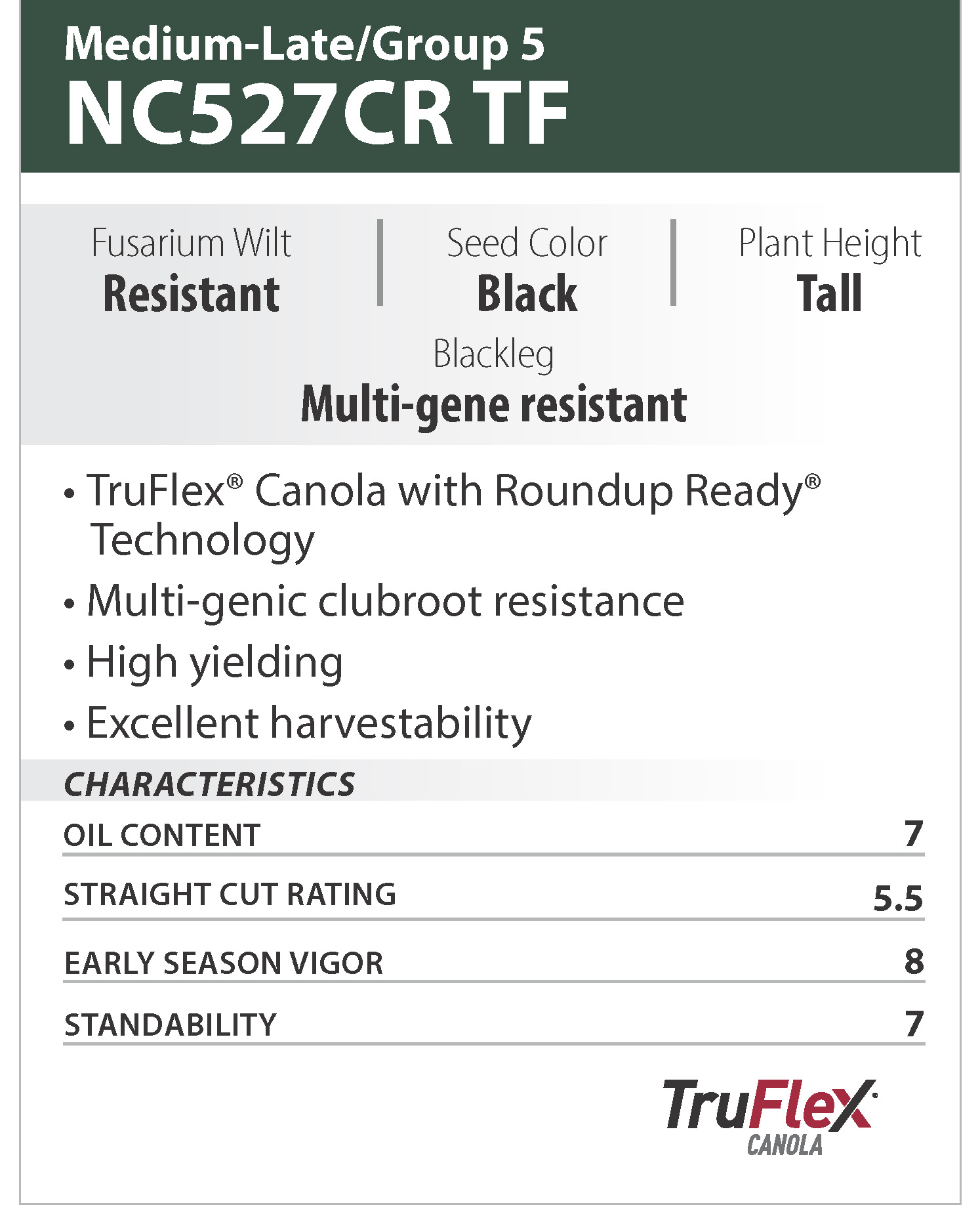 Canola blocks_02_NC527CR TF.jpg