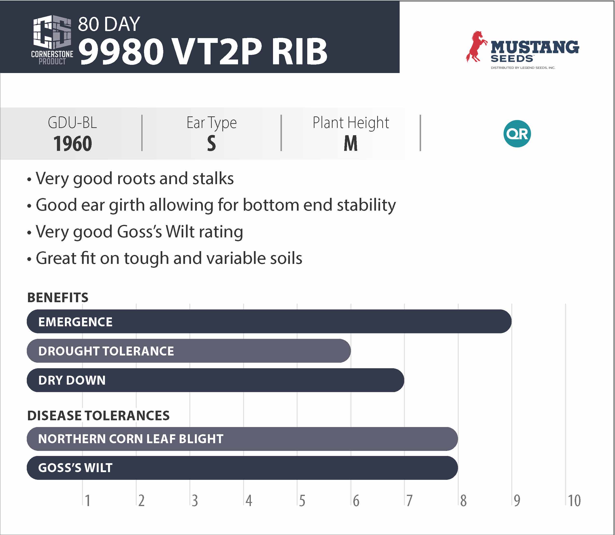 condensed_9980 VT2P RIB.jpg