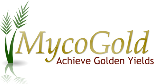 Myco_logo_high_res (002).jpg