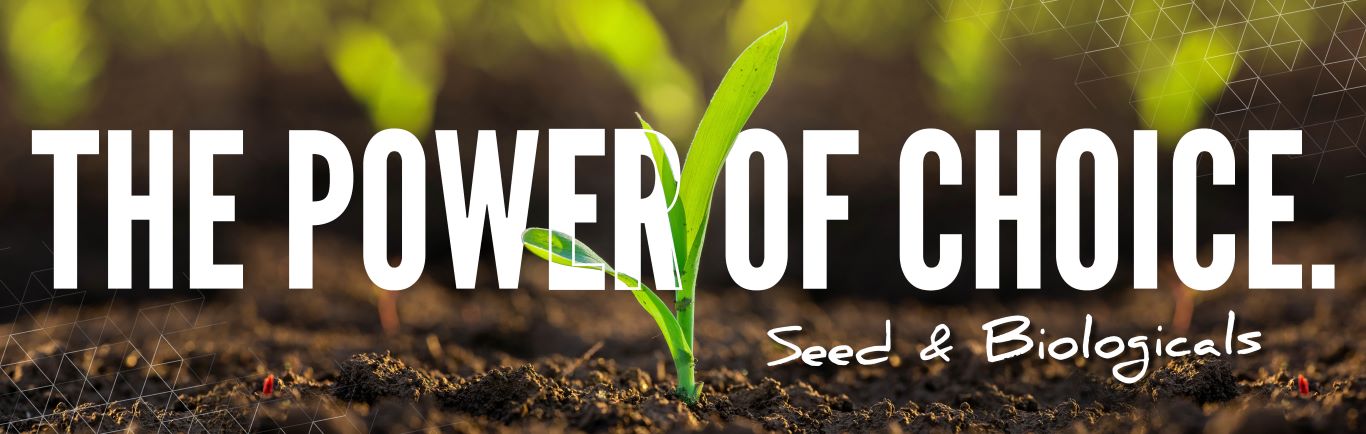 The power of choice: seed and biologicals