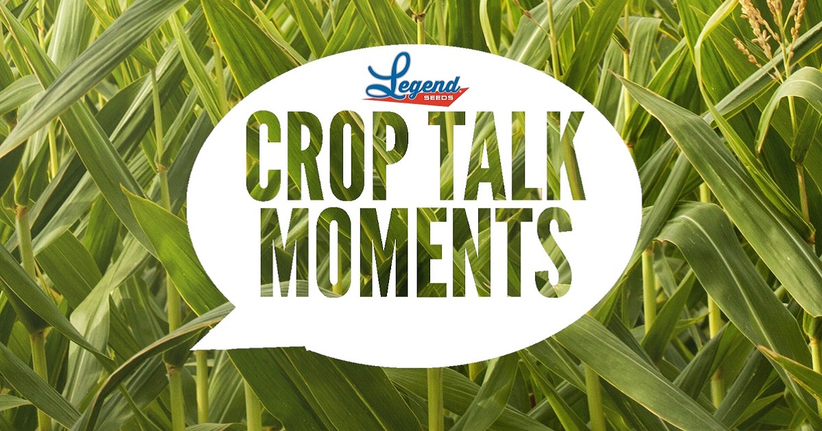 Legend Seeds Your Regional Seed Leader