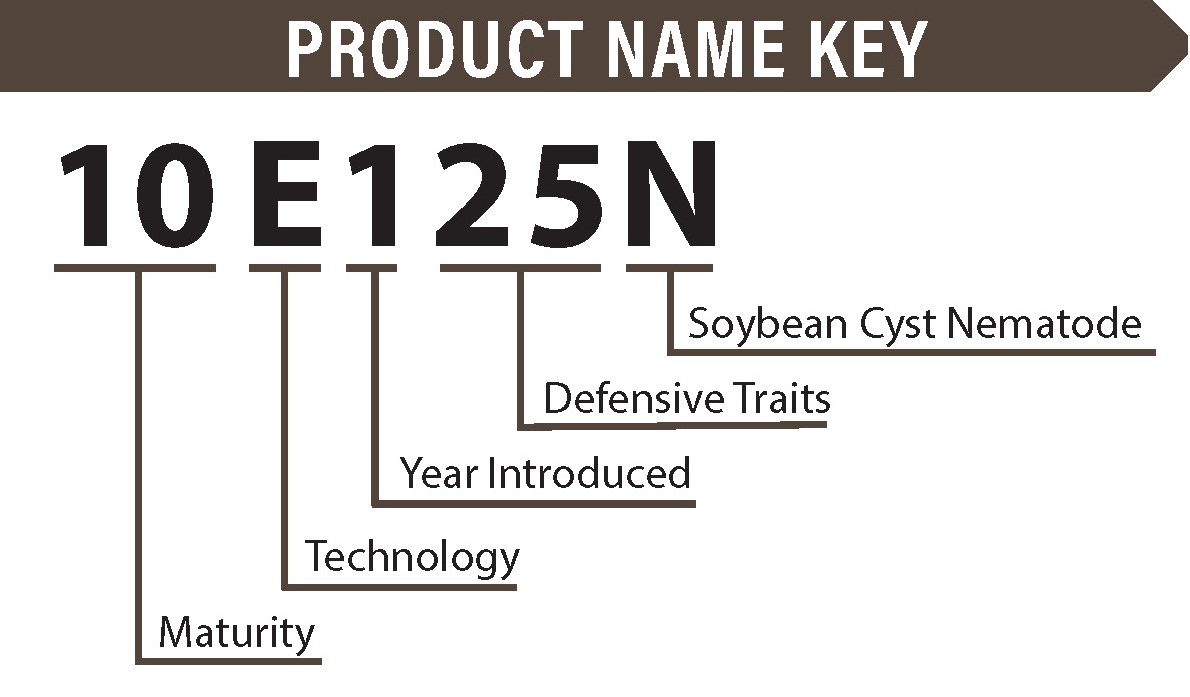 Impact soybean key.jpg