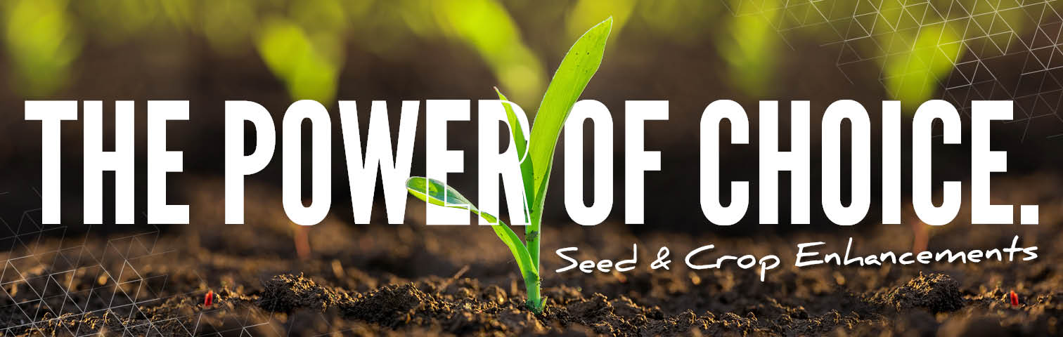 The power of choice: seed and crop enhancements