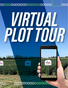 Virtual Plot Tour Cover